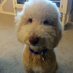 Meet your Posher, Jaclyn